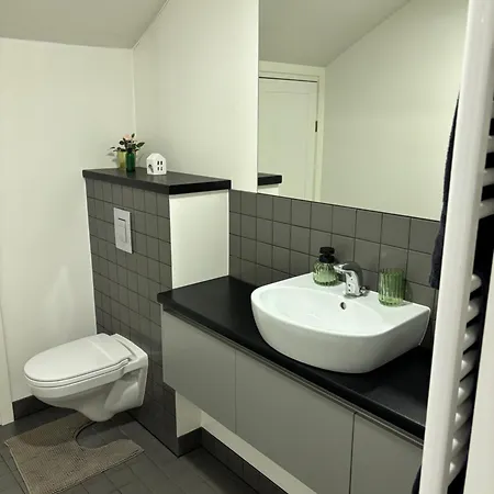 Self Check-in In Yoga Appartement Cēsis